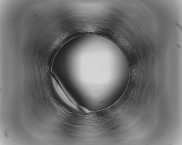 X0000097770544200803211739