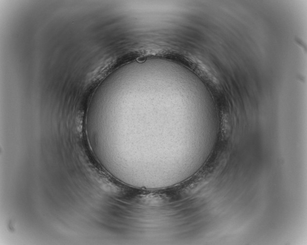 X0000097770545200803211739