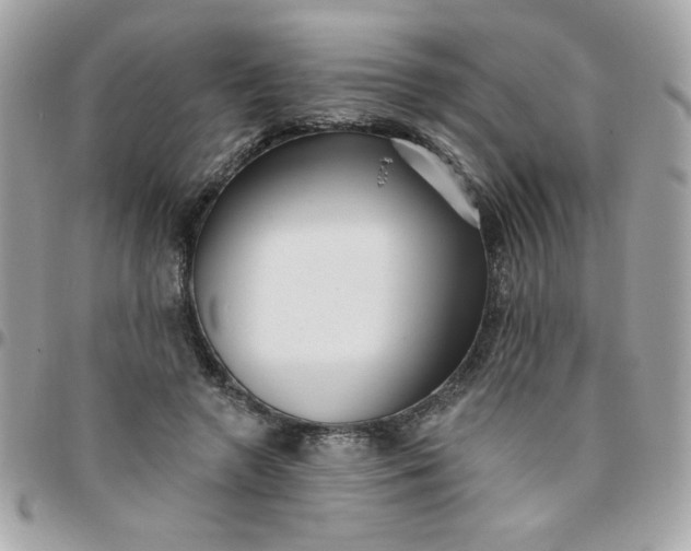 X0000097770546200803211739