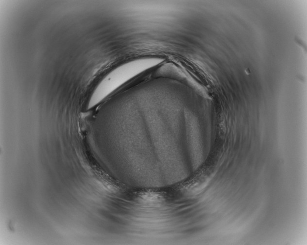 X0000097770547200803211739