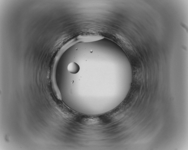 X0000097770548200803211739