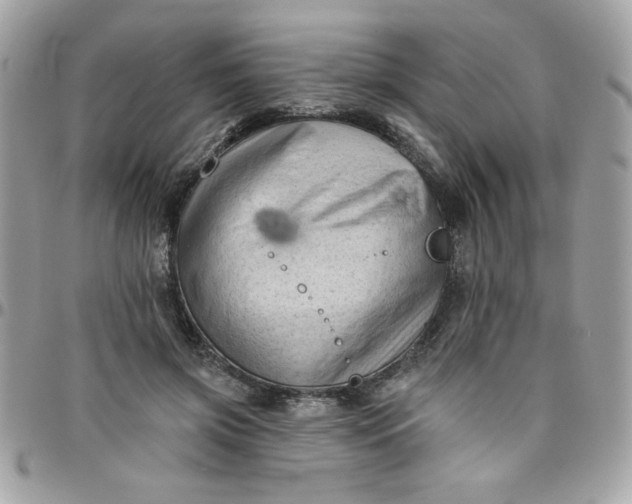 X0000097770549200803211739