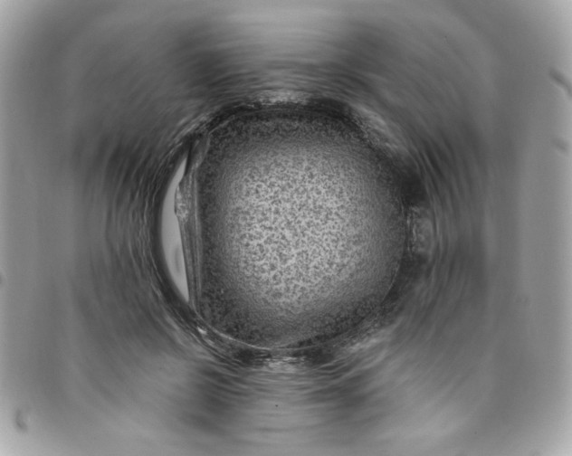 X0000097770550200803211739