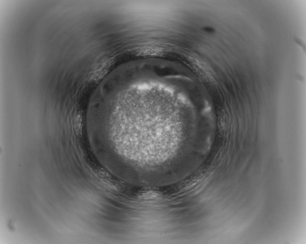 X0000097770551200803211739