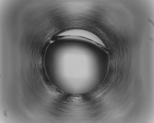 X0000097770552200803211739