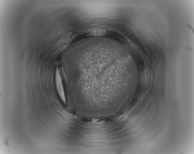 X0000097770553200803211739