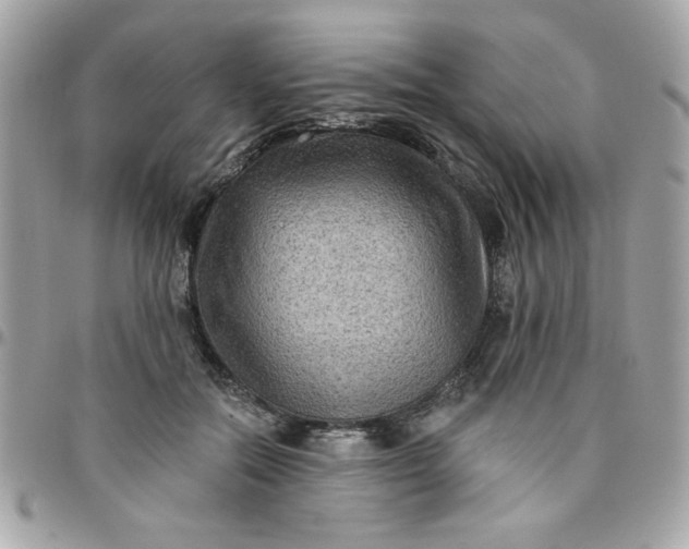 X0000097770554200803211739