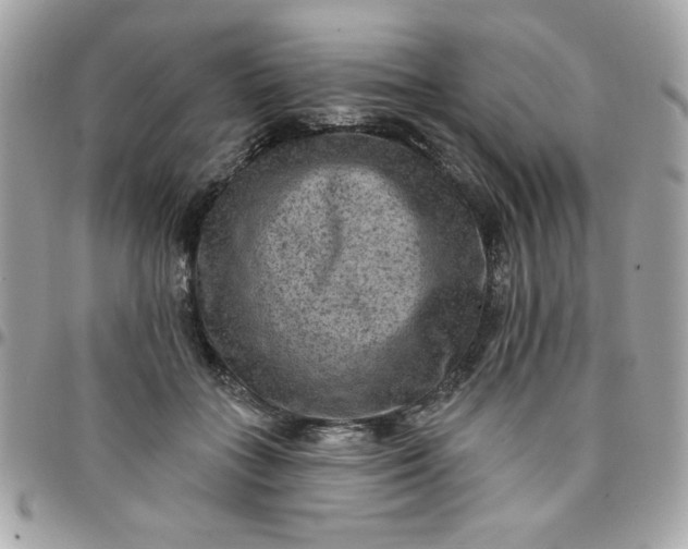 X0000097770555200803211739