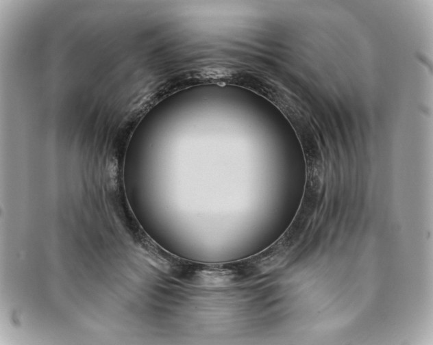 X0000097770556200803211739