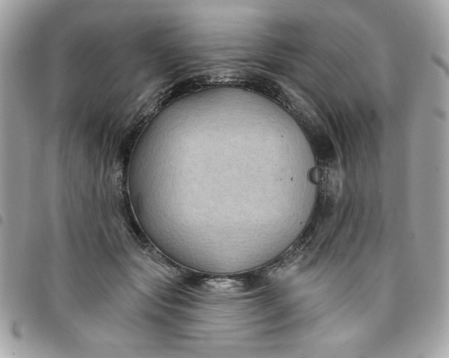 X0000097770557200803211739