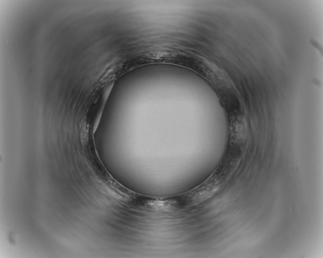 X0000097770558200803211739