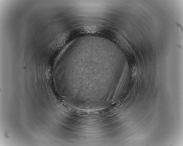 X0000097770559200803211739