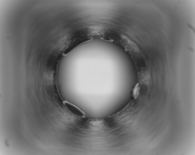 X0000097770560200803211739