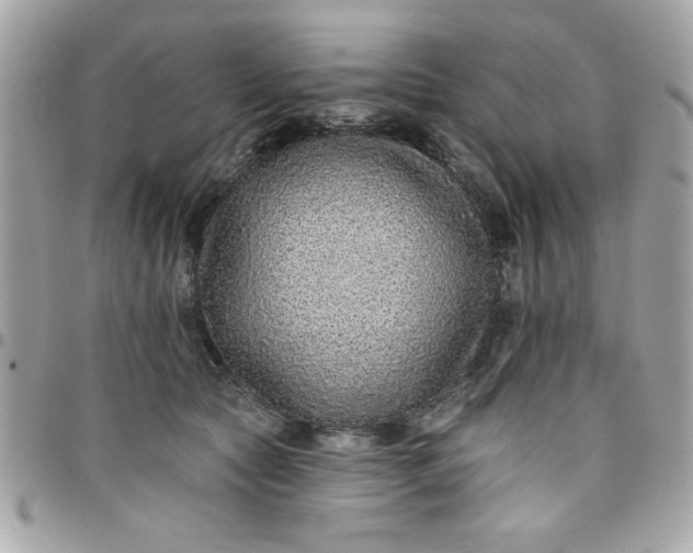 X0000097770561200803211739