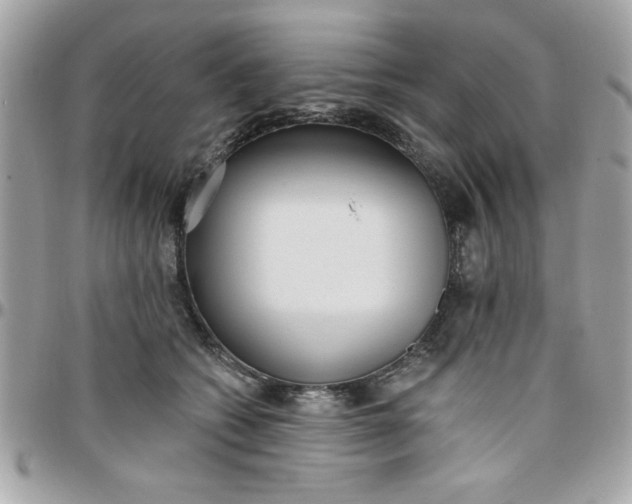 X0000097770562200803211739