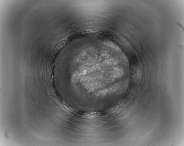 X0000097770563200803211739