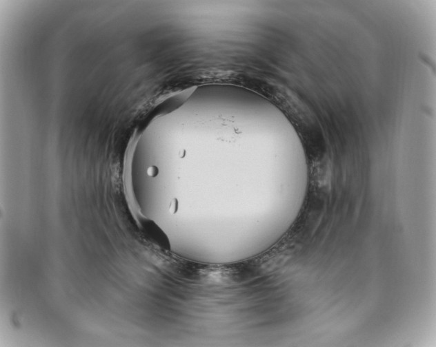 X0000097770564200803211739