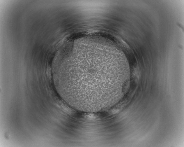 X0000097770565200803211739