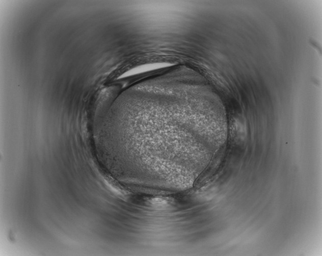 X0000097770566200803211739