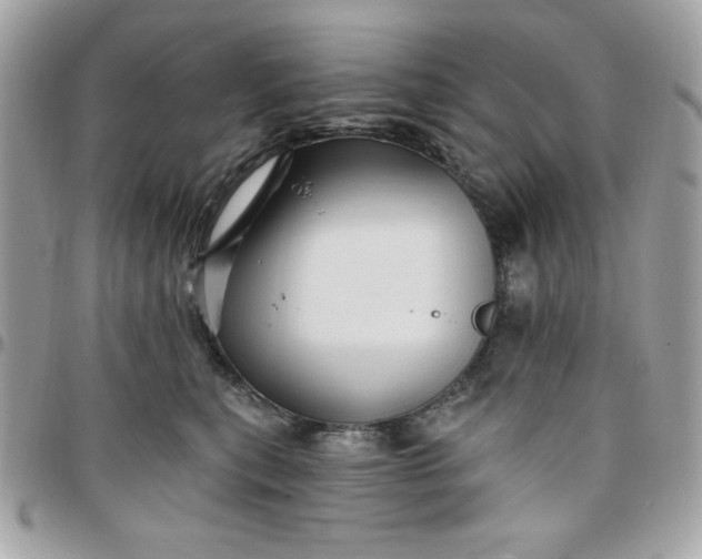 X0000097770567200803211739