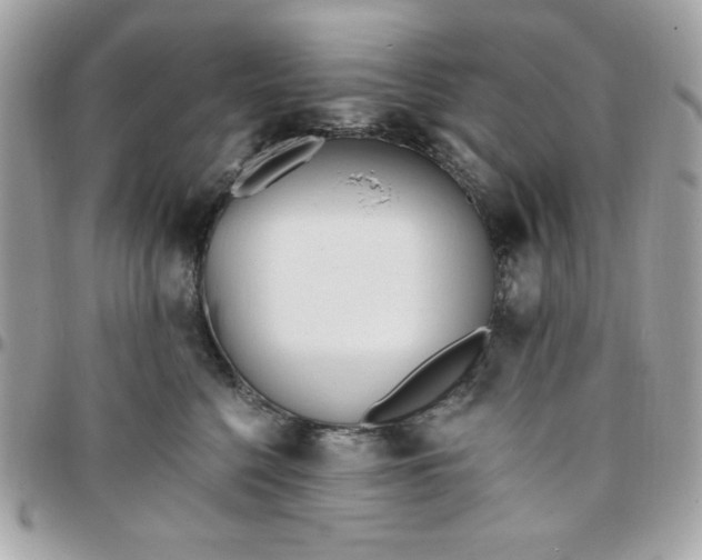 X0000097770568200803211739