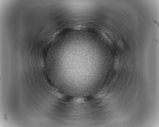 X0000097770569200803211739