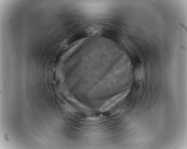 X0000097770570200803211739