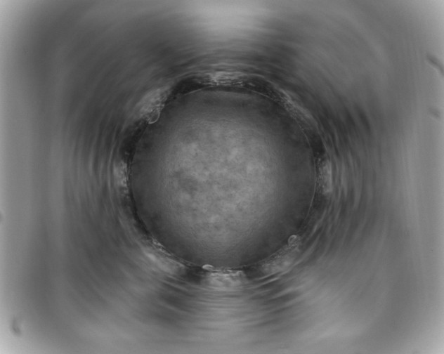 X0000097770571200803211739