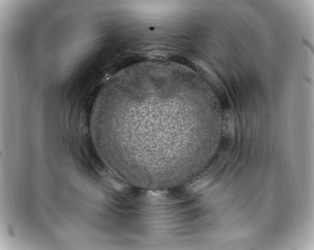 X0000097770573200803211739