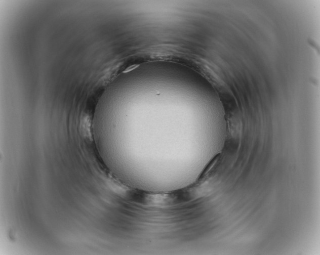 X0000097770575200803211739