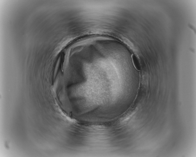 X0000097770577200803211738