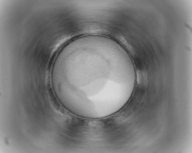 X0000097770579200803211738