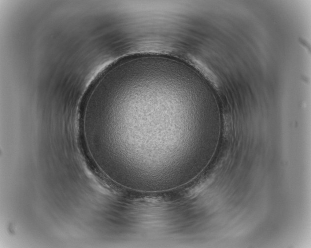 X0000097770580200803211738