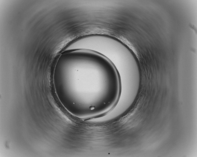 X0000097770581200803211738