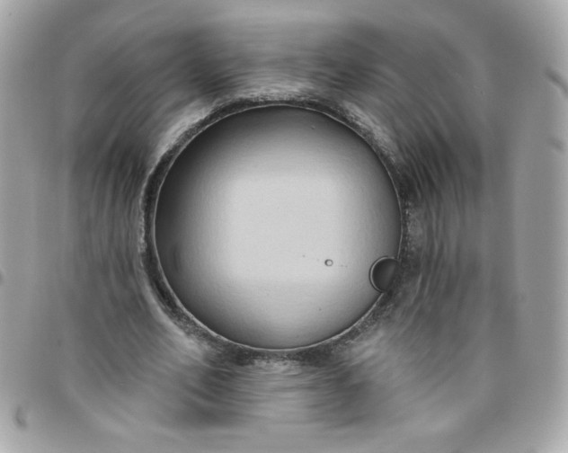 X0000097770582200803211738