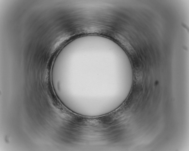 X0000097770583200803211738