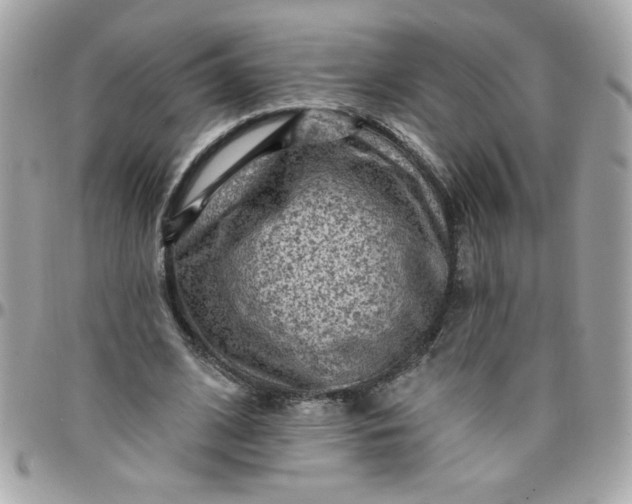 X0000097770584200803211738