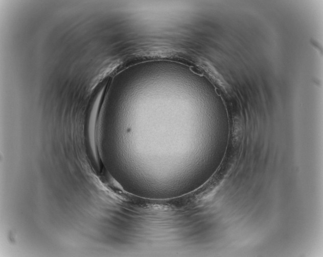 X0000097770585200803211738