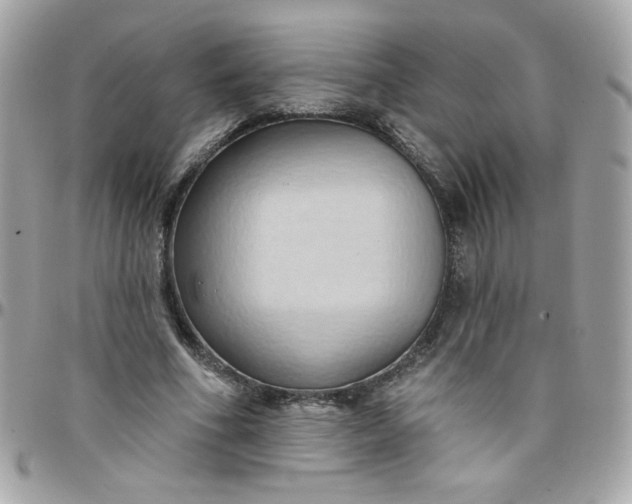 X0000097770586200803211738