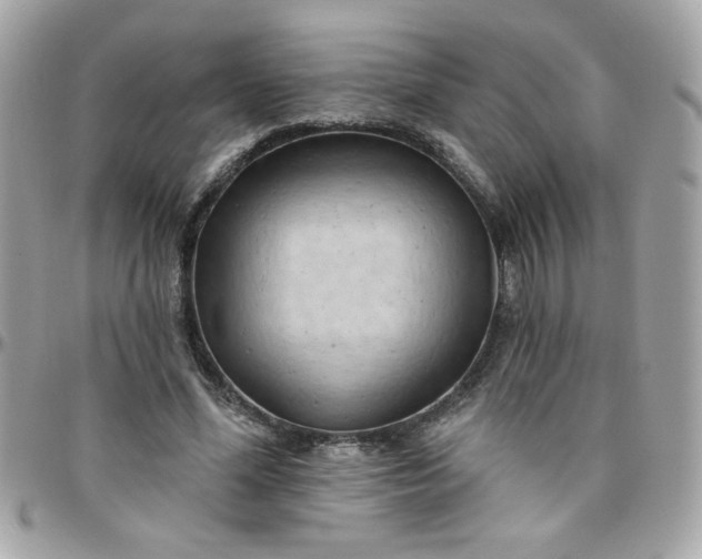 X0000097770588200803211738