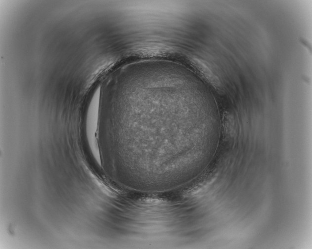 X0000097770590200803211738