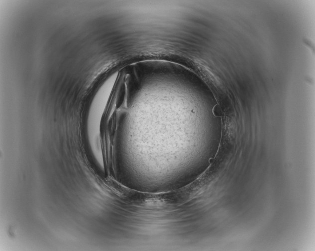 X0000097770591200803211738