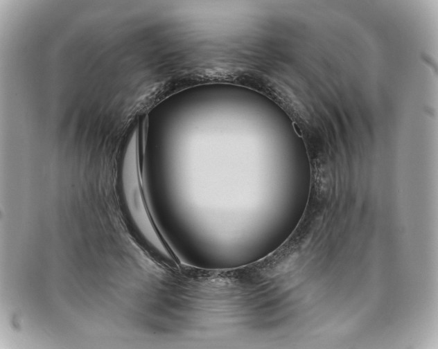 X0000097770593200803211738