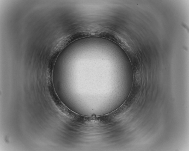 X0000097770594200803211738