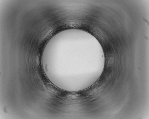 X0000097770595200803211738