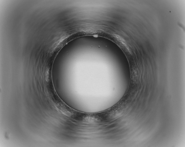 X0000097770596200803211738