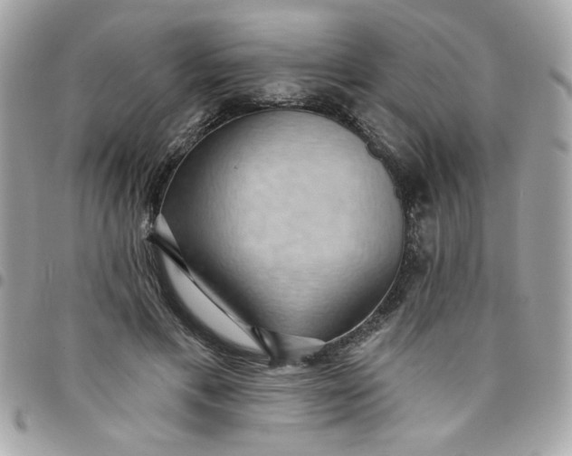 X0000097770597200803211738