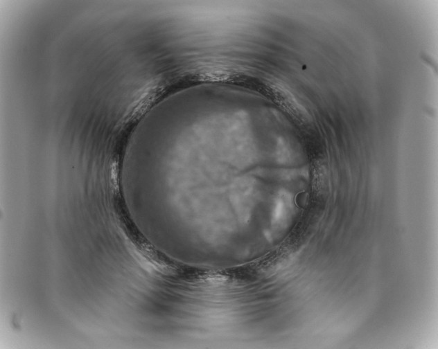 X0000097770598200803211738