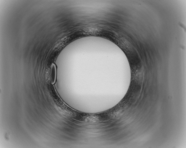 X0000097770599200803211738