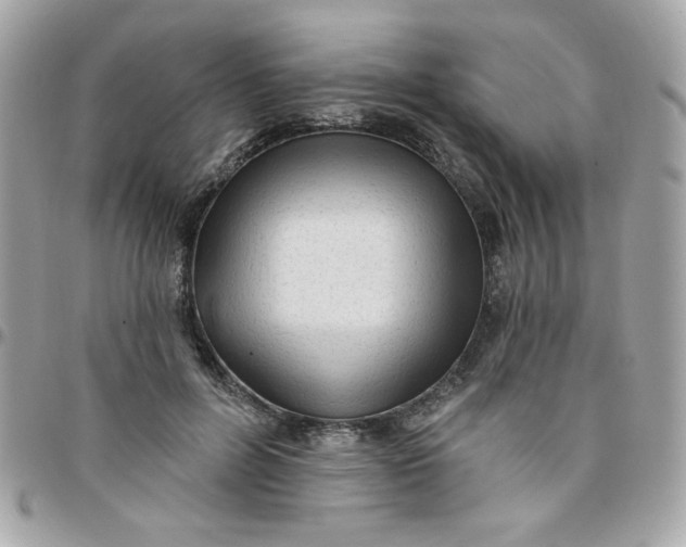 X0000097770600200803211738